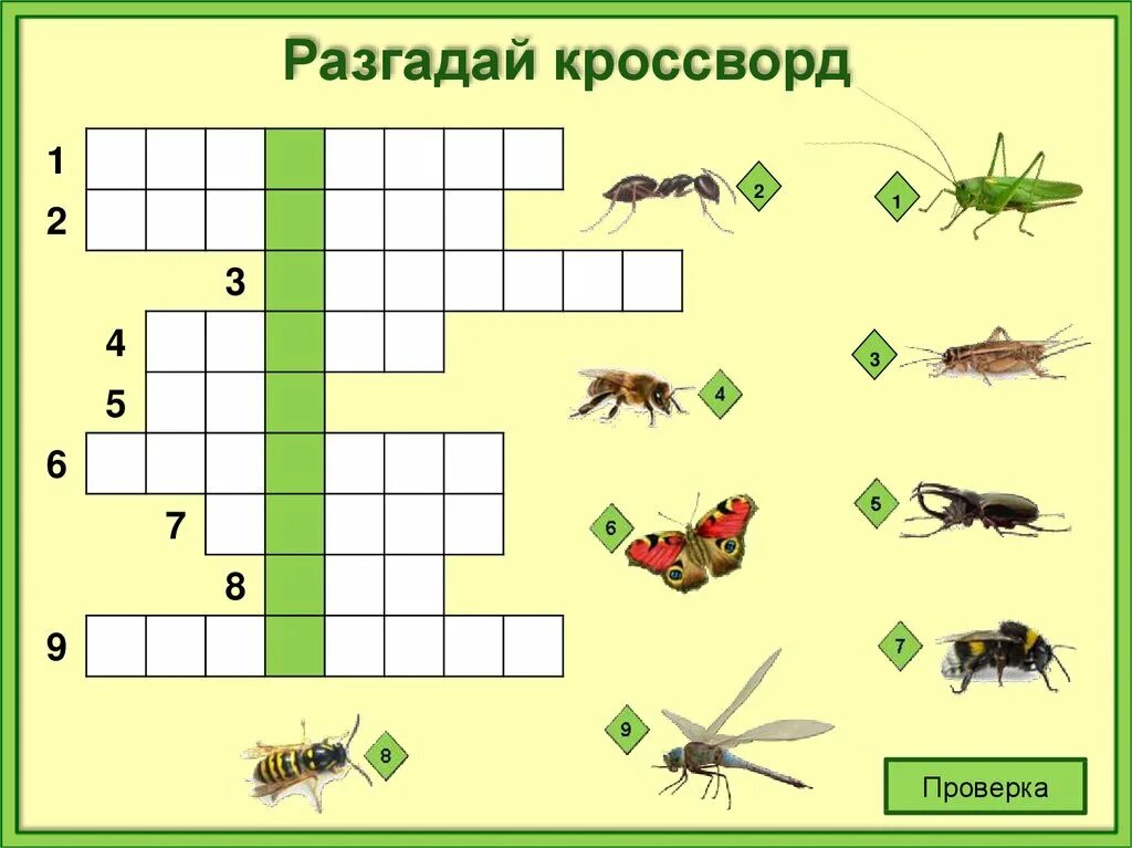 Кроссворд насекомые. Кроссворд про насекомых для детей. Кроссворд на тему насекомые. Кроссворд детский насекомые. Кроссворд беспозвоночных животных