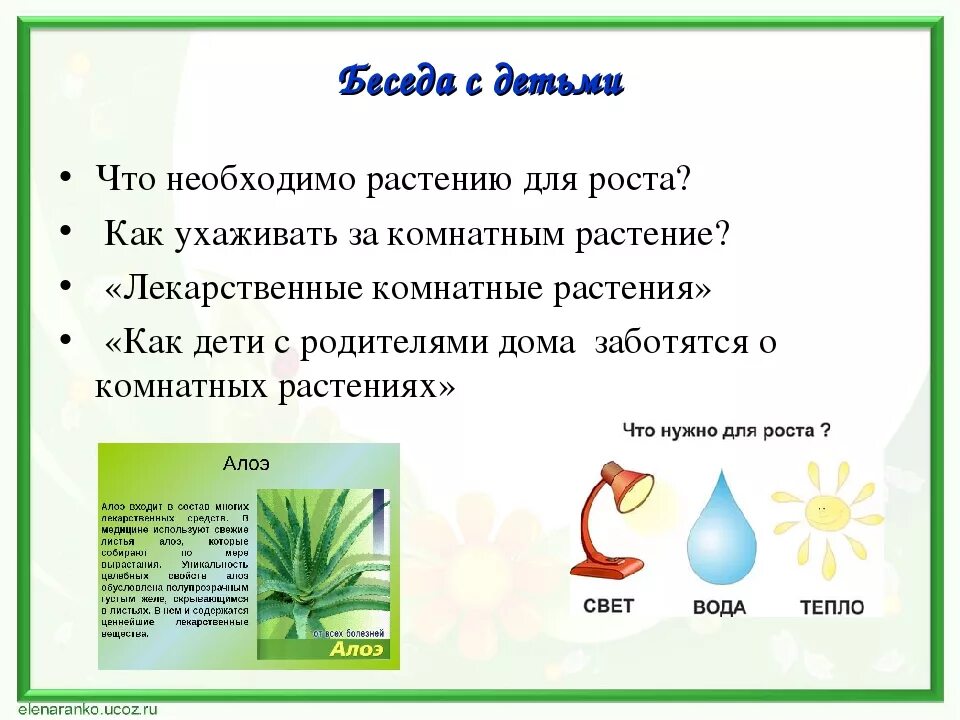 Беседа с детьми комнатные растения. Что нужно растению для дошкольников. Беседа с детьми про растения. Комнатные цветы старшая группа. Соломенникова мир комнатных растений