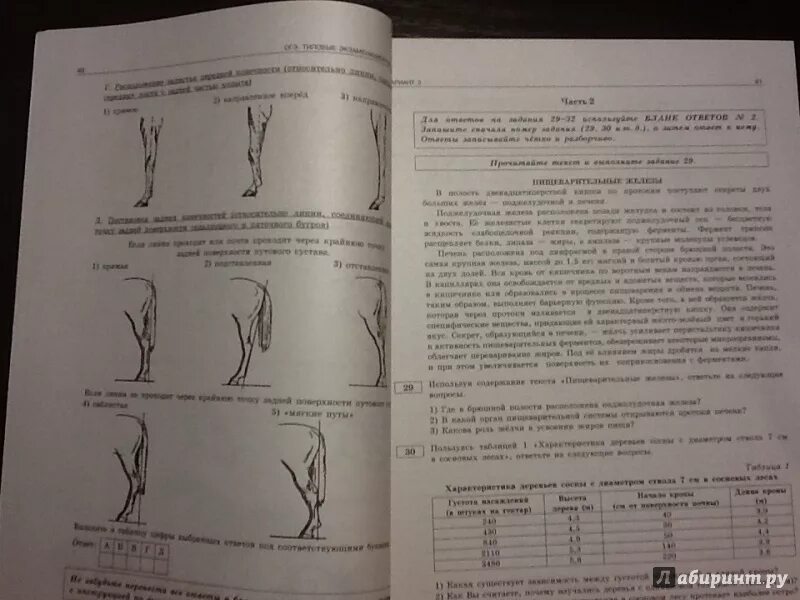 Рохлов 30 вариантов. ОГЭ по биологии Рохлова. ОГЭ по биологии. Рохлов биология ЕГЭ. Огэ по биологии 9 класс 2024 подготовка