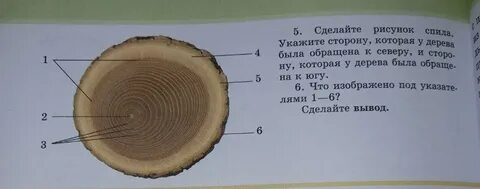 Определите срез