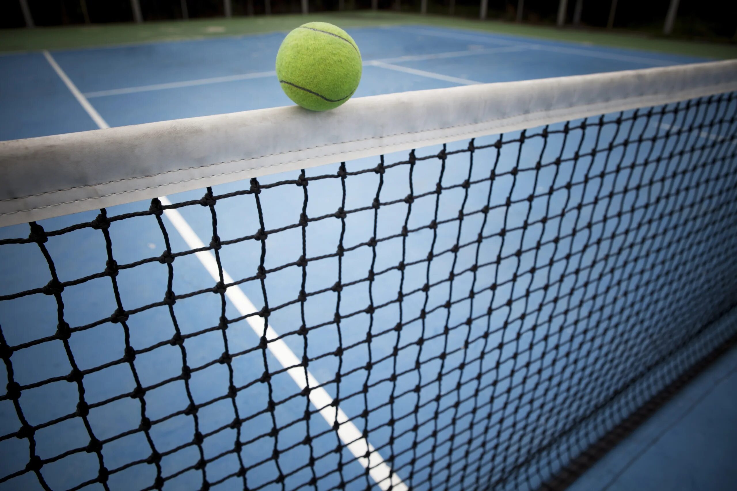 Теннисный корт сетка. Сетка для теннисных мячей. Мячик - сетка для тенниса. Большой теннис.