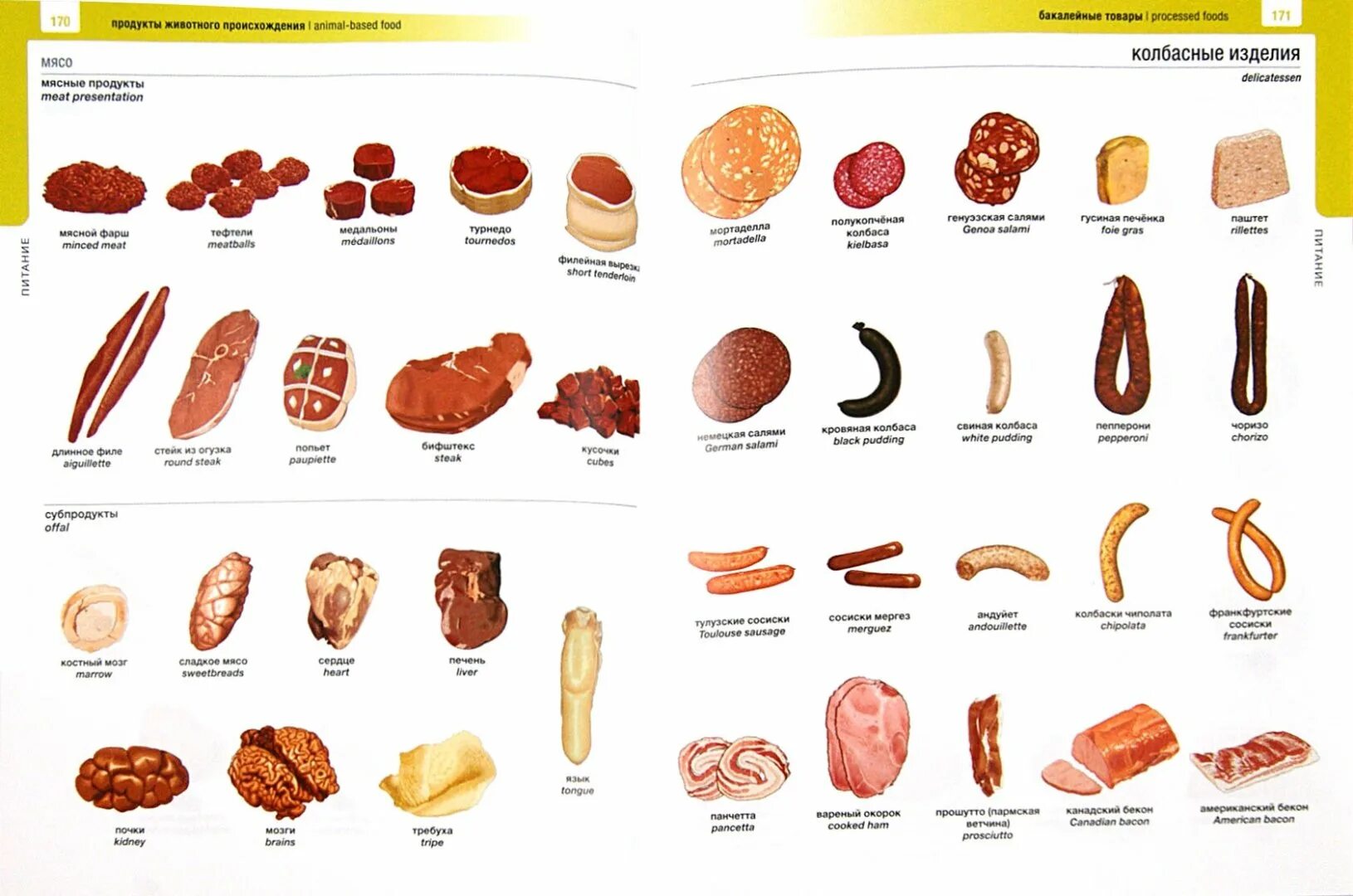 Мясо на английском языке. Названия колбас на английском. Мясные продукты названия. Название колбасных изделий. Колбасные продукты названия.