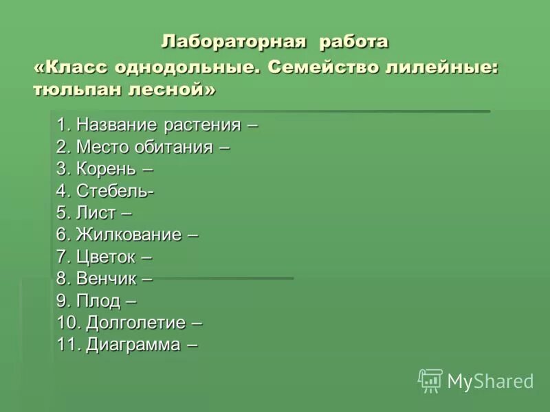 семействам растений сонин. лилейные жилкование листьев. рисунки легкие семейства покрытосеменных. лабораторная работа по биологии 7 класс лилейные. представители семейства лилейные 6 класс.