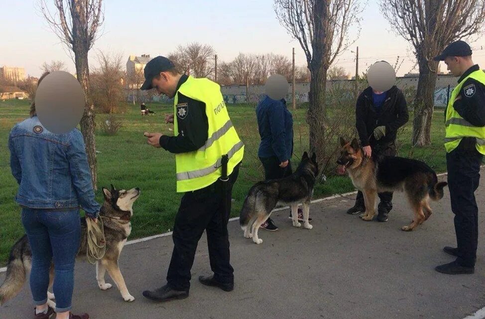 Выгул без поводка статья. Штраф за выгул собак. Штраф за собаку. Собака штрафуются. Штраф за собаку без привязи.