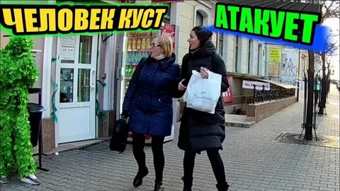 Приколы пугающие кусты