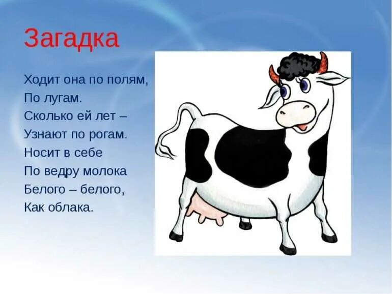 Загадка про корову. Загадка про корову для детей. Детские загадки про корову. Загадки для детей про аорова. Что пьет корова загадка