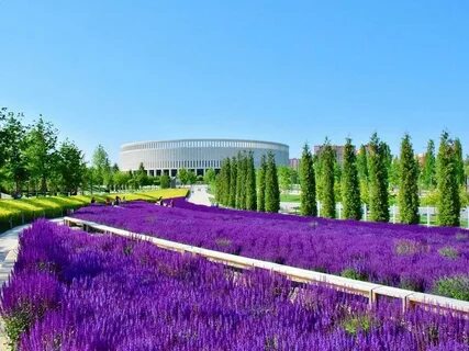 Розовый парк в краснодаре где