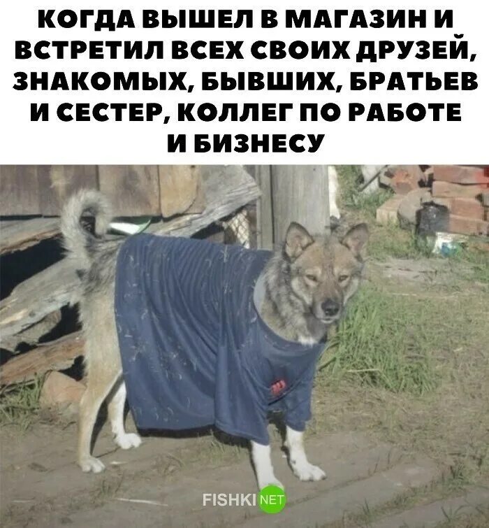Сходить выносить