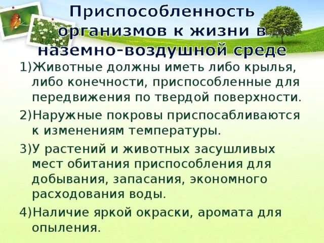 Приспособления растительных организмов к среде обитания. Приспособления растений к наземно-воздушной среде обитания. Приспособленность организмов к наземно-воздушной среде. Приспособленность организмов к наземно-воздушной среде обитания. Наземно-воздушная среда приспособления.