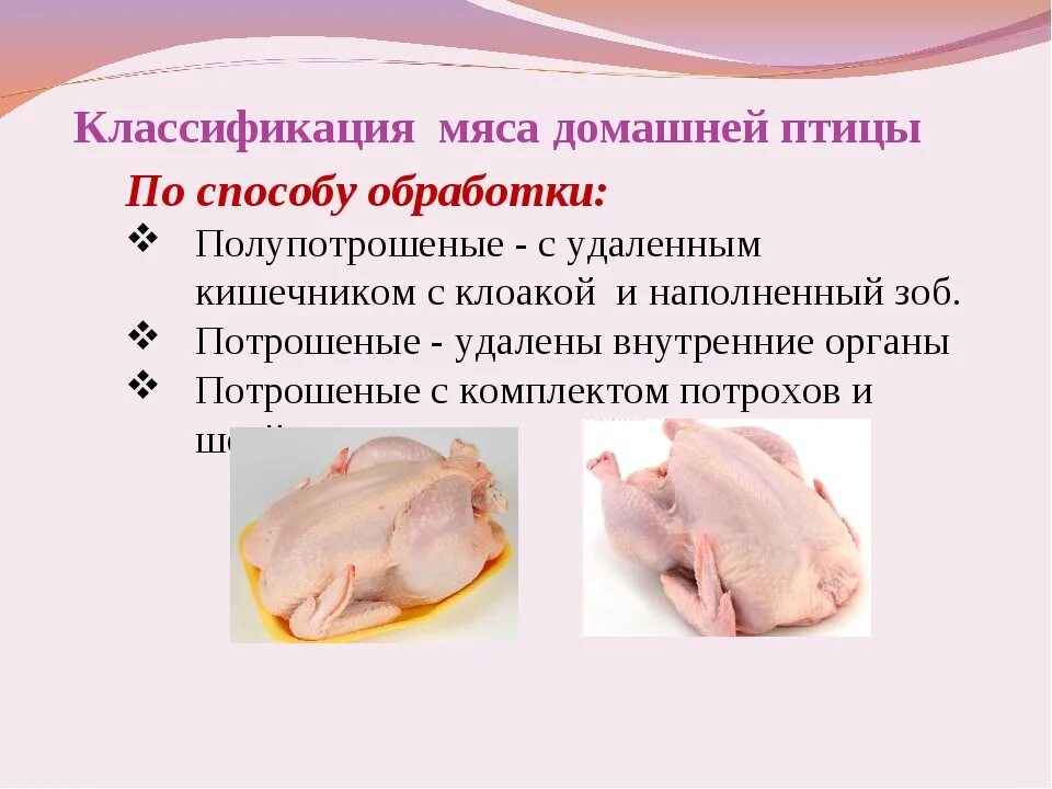 Этапы механической обработки замороженной птицы. Классификация мяса птицы. Классификация мяса домашней птицы. Классификация тушек птицы. Полуфабрикаты из птицы и дичи.