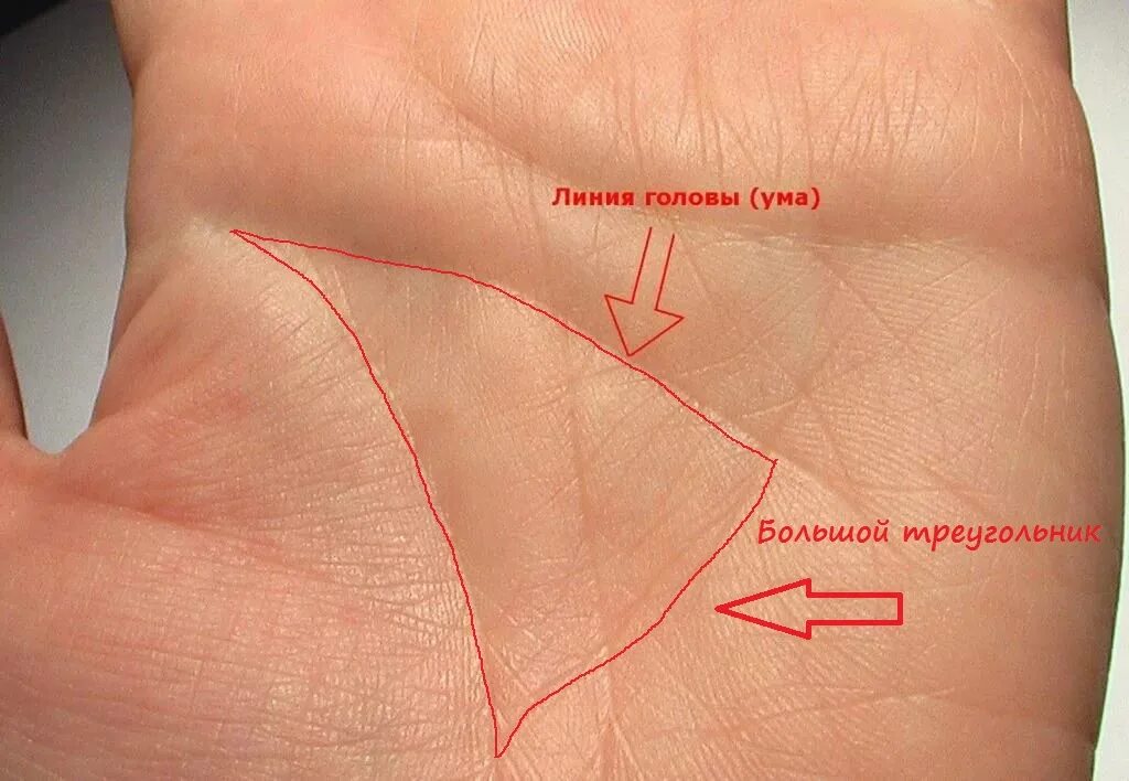 Хиромантия по руке значение. Линии на ладони. Линия головы. Линия ума. Линия головы и линия жизни.