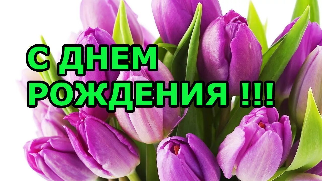 С рождением коллеги картинки. С днем рождения. С днём рождения женщине. С днём рождения женщине колоега. Поздравление с днём рождения коллеге женщине.