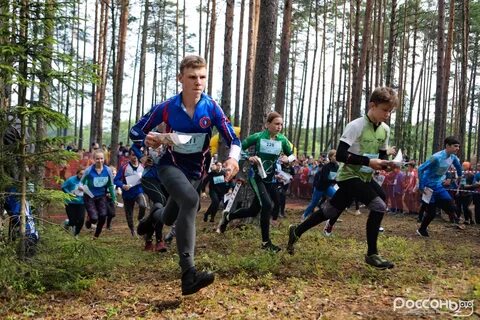 Слет союзного государства 2024