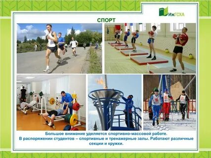 В настоящее время большое внимание уделяется