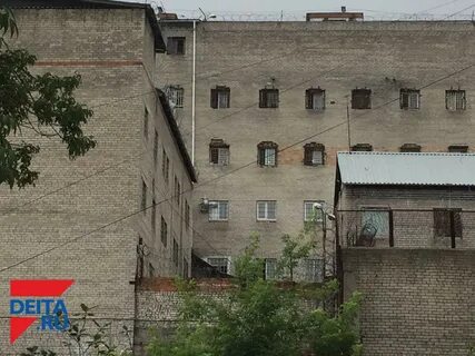 Колония дальний