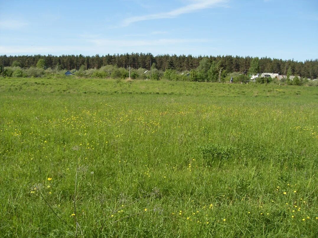 Деревня редькино орловская область. Село становой колодезь ул яредькинод40. Село редькино орловская область. Село редькино орловская область. Городище гонючево орловская область.
