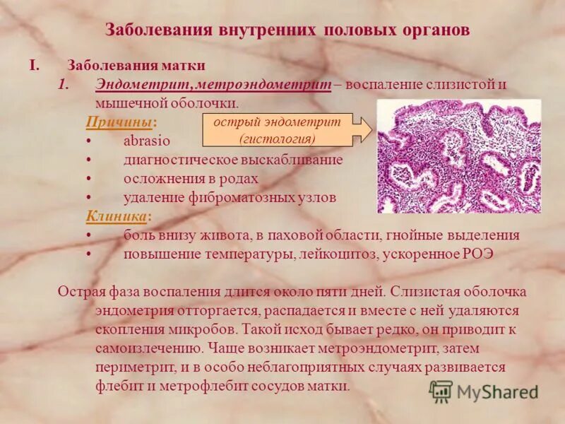воспалительные заболевания наружных половых органов у женщин. эндометриоз менструационного цикла. врач и женщина в менопаузе. цистит у женщин. женские болезни после.