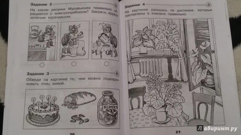 Проверочная окружающий мир 1 класс. Окружающий мир плешаков 1 класс контрольные. Окружающий мир плешаков проверочные. Окружающий мир плешаков 1 класс контрольные. Окружающий мир 1 класс.