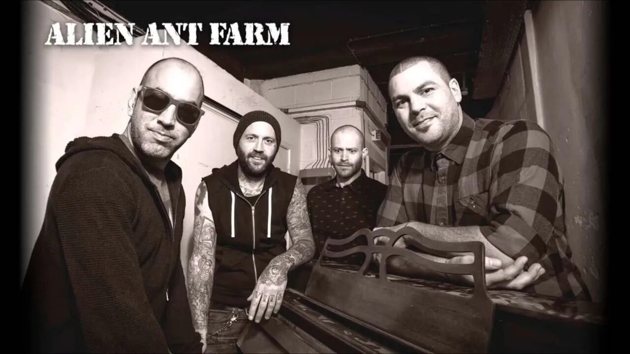 Группа alien ant farm. Alien ant farm сейчас. Включи alien ant farm. Alien ant farm сейчас. Ant farm группа.