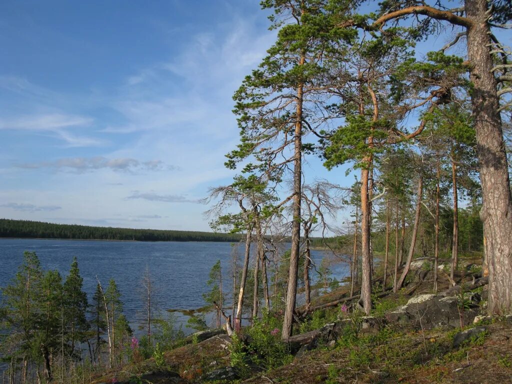 Норвежский сайт лоухи. Кереть Лоухи. Лоухи Карелия. Лоухи, Чупа озеро. Посёлок Лоухи Республика Карелия.