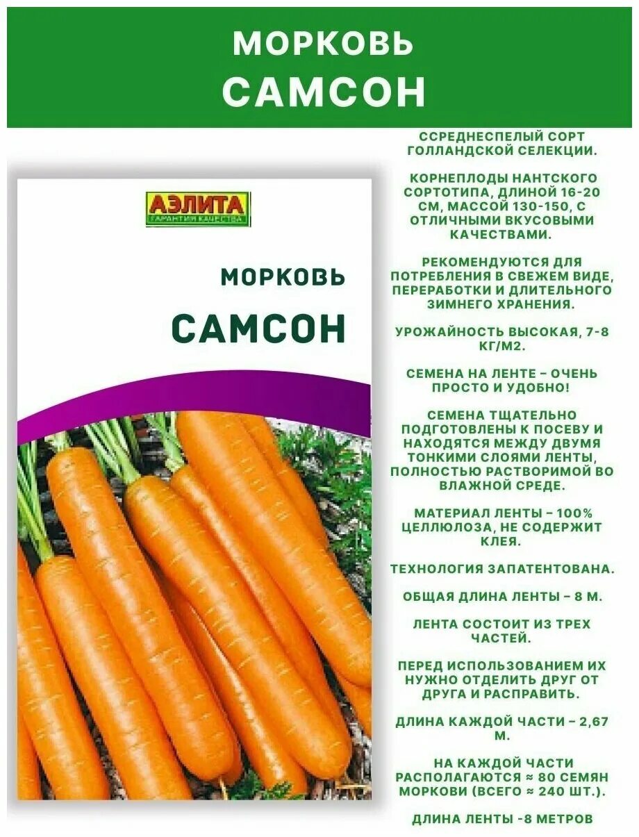 Морковь сорт самсон фото Морковь Самсон 0,3г ХИТ Семена Моркови цена 17руб. доставка Самара Товар на картинке можно купить.