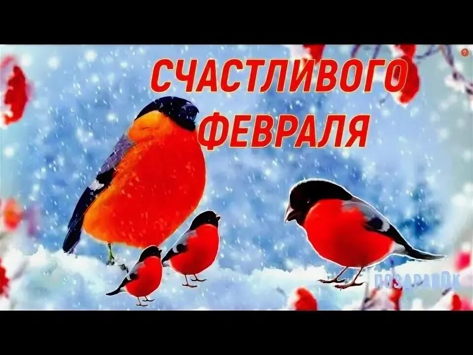 Зимние пожелания. Поздравления с 1феврадя. Начало февраля или начала февраля. Открытки с добрым февральским утром. С первым днем февраля.