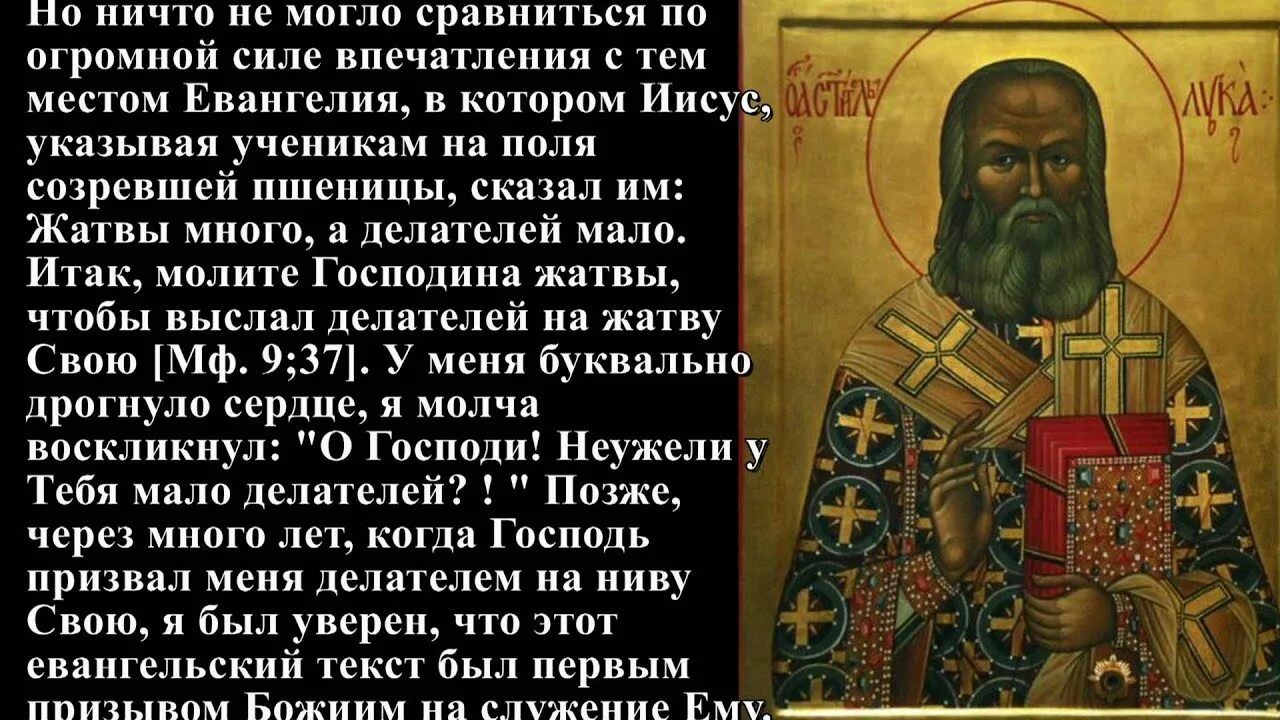 Я полюбил страдание святитель. Молитва архиепископу луке Крымскому.