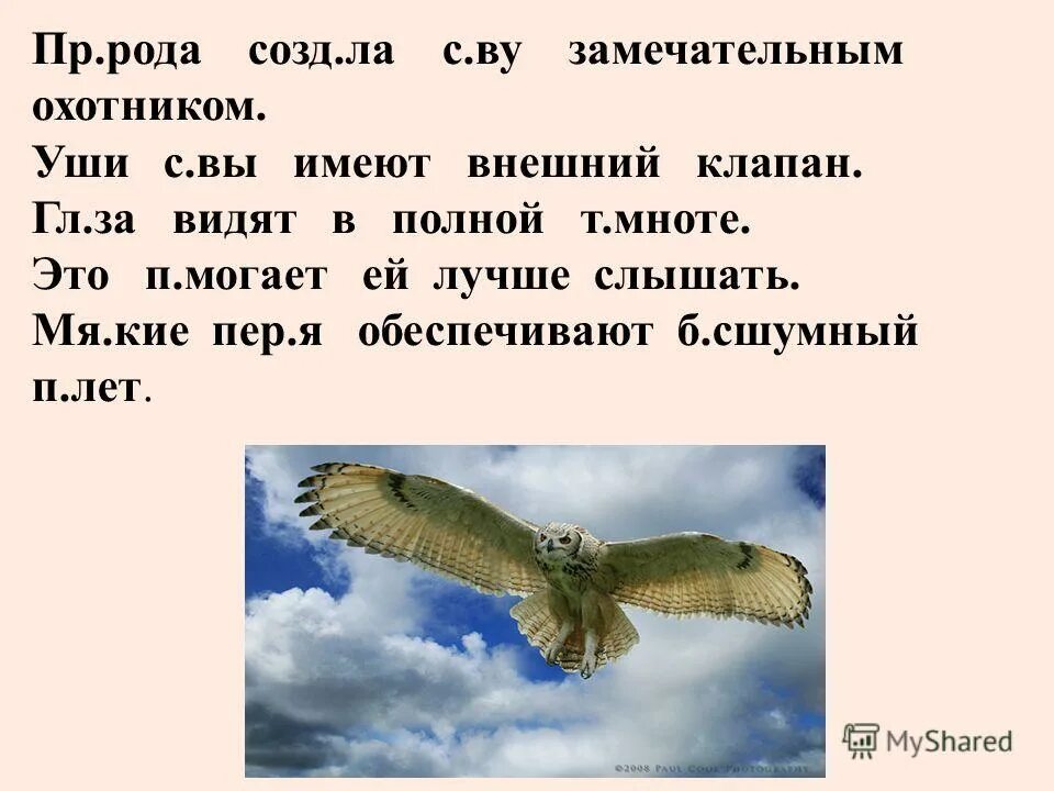 существительные обозначающие птиц