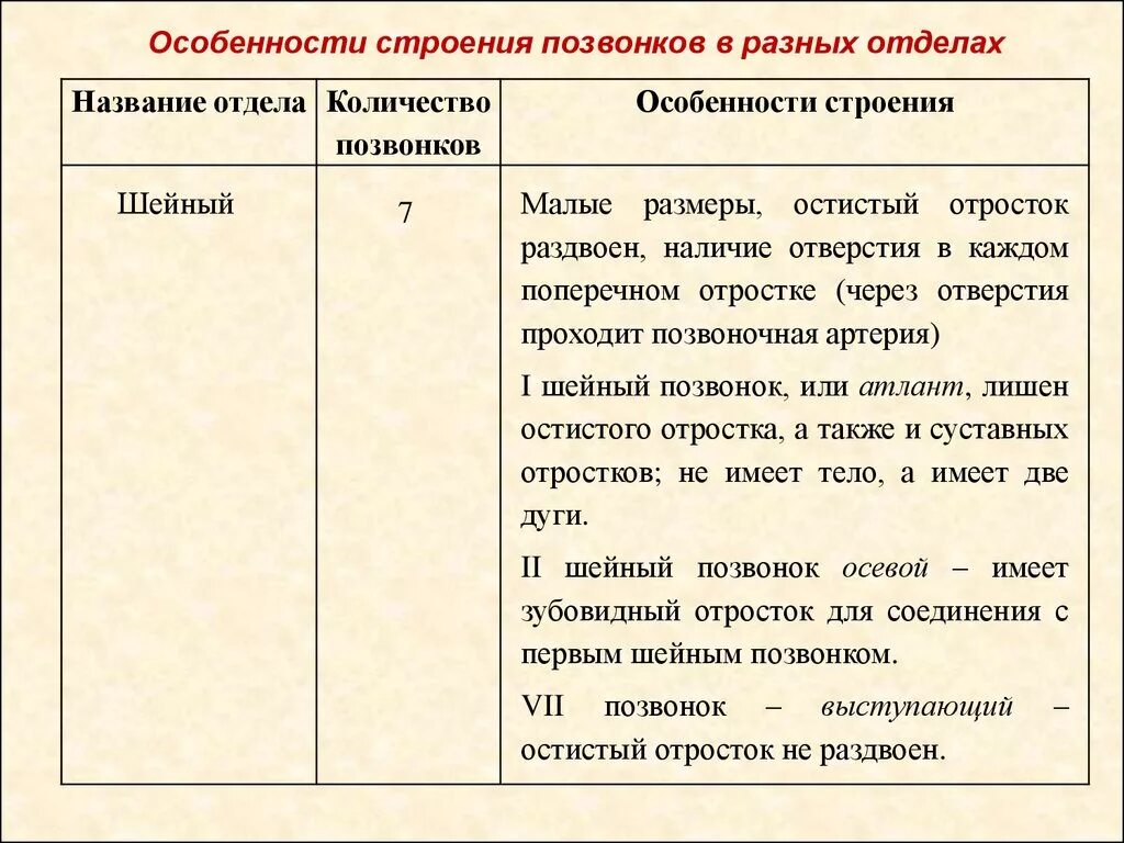 Сходство отделов позвоночника. Особенности строения шейных позвонков таблица. Отличительные особенности позвонков таблица. Характеристика строения позвонков таблица. Строение позвоночника таблица особенности строения.