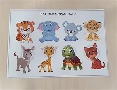 Игры мордашка