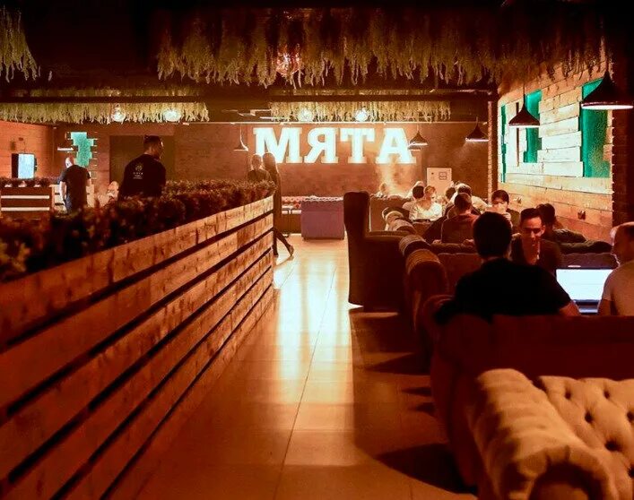 Мята лаундж новокосино. Мята земляничная ( mentha species erdbeerminze). Guten pub ташкент. Кафе мята лаунж новокосино. Мята ташкентская.
