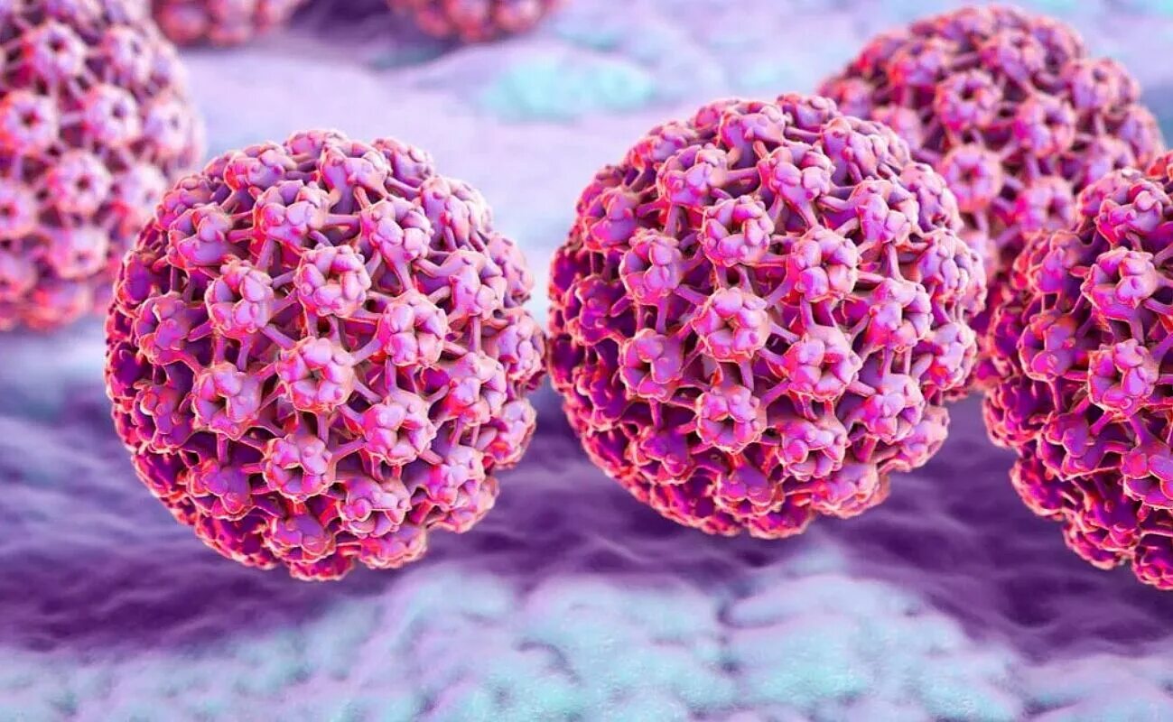 Hpv 16 18