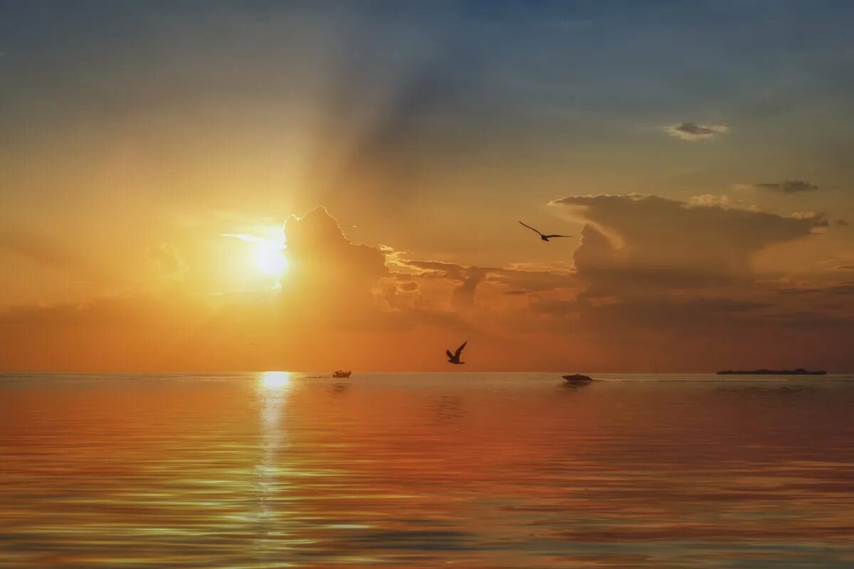 верни закаты. вечерний закат. закатный пейзаж. красивый закат. природа вечер.