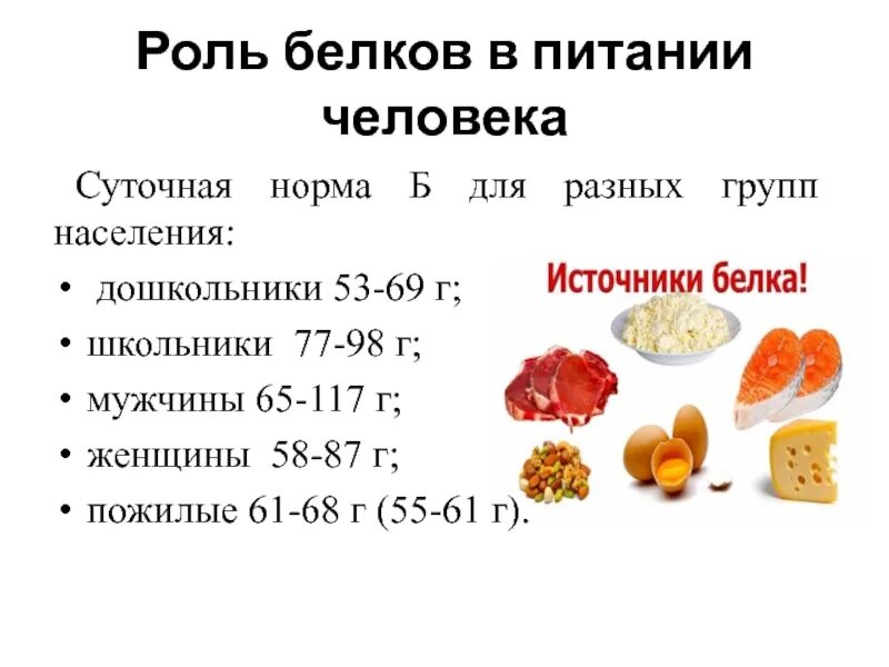 Норма белков для спортсменов. Роль белков в питании. Суточная норма питания человека. Белки в питании человека роль. Нормы питания презентация.