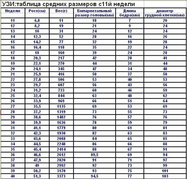 Вес ребенка на 33 неделе