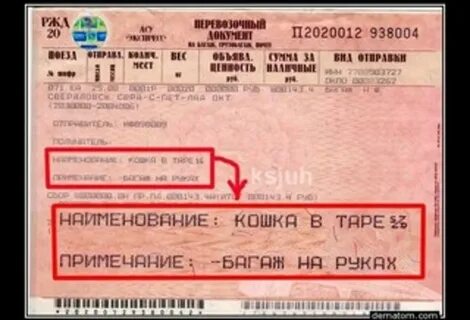 Билеты на поезд вагон с животными