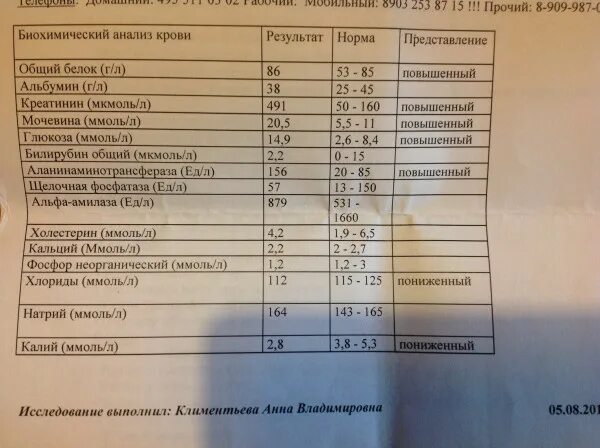 Срок годности анализа мочи. Биохимия крови с креатинином. Анализы для ПЭТ кт. Анализ крови для ПЭТ кт. Нормальные показатели креатинина в крови для кт с контрастированием.