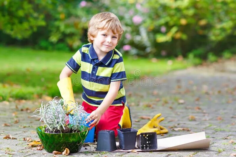 Мальчик сажает цветы. Kids planting Flowers. Мальчик в песочнице.в.детский.сад.лето. Фото детей черно белое которые сажают цветы фото и картинки.