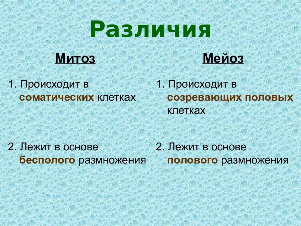 Отличия митоза от мейоза 9 класс. Отличие мейоза от митоза кратко. Черты сходства митоза и мейоза. Основные отличия мейоза от митоза. Отличие митоза от мейоза.