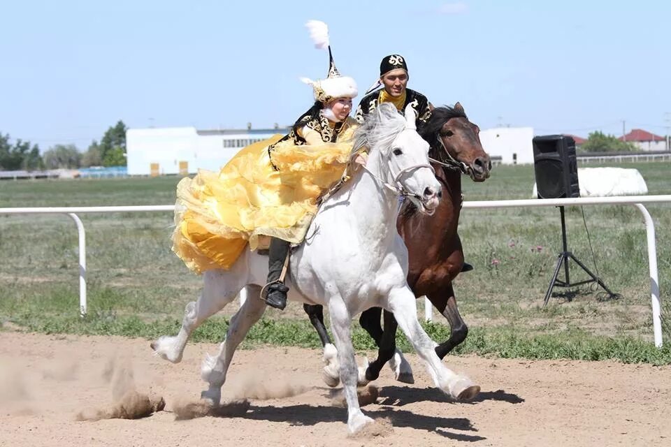 Қыз қуу ойыны. Кыз куу казахская игра. Кыргызская Национальная игра кыз куумай. Скачки на лошадях в Казахстане. Казахские игры на лошадях.