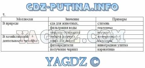 Органы чувств регуляция деятельности организма кратко