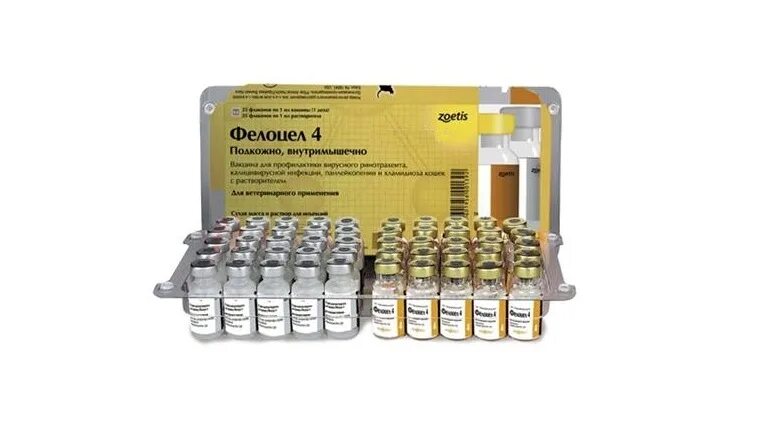 Фелоцел отзывы. Фелоцел cvr, вакцина для кошек. фелоцел вакцина для кошек бешенство. фелоцел вакцина для кошек инструкция. фелоцел вакцина для кошки дефендер.