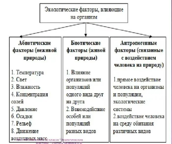 Группа среды а б в. Биотические и абиотические факторы среды. Абиотические факторы и биотические факторы таблица. Факторы окружающей среды абиотические и биотические антропогенные. Таблица экологические факторы абиотические биотические.