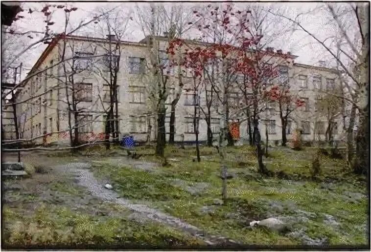Сайт школы 33 петрозаводск. Сайт школы 33 петрозаводск. Школа 33 петрозаводск. Директор 33 школы петрозаводск. Директор 33 школы петрозаводск.