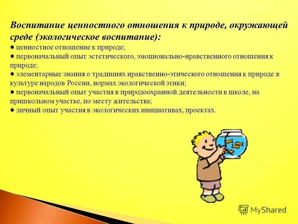 Цель экологического воспитания в детском саду. Воспитание ценностного отношения к природе окружающей среде. Формирование нравственных отношений к природе. Развивающие задачи экологии. Рискологическая культура.