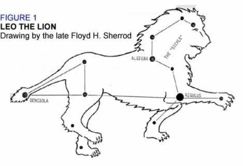 Модель созвездия Льва 1 класс. Созвездие Лев схема для 1 класса. Модель созвездия Льва 1 класс окружающий мир. Созвездие Льва окружающий мир 1 класс. Созвездие льва нарисовать по точкам