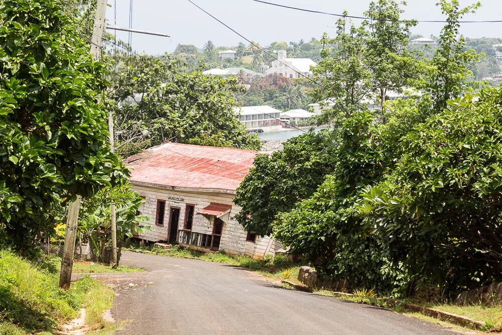 Тонга отзыв. Тонга отзыв. Тонга отзыв. Тонга отзыв. Тонга отзыв.