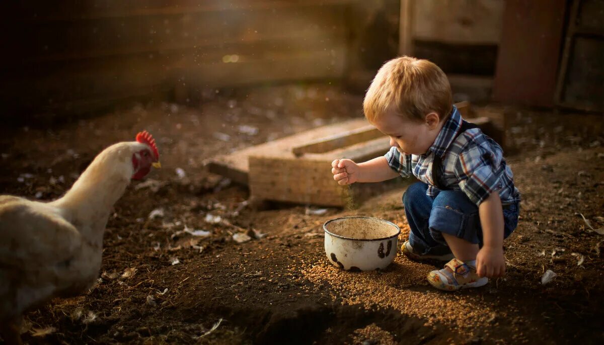 Девочка в деревне. Деревенские ребятишки. Деревенские жители. Лето в деревне дети. Деревенские ребятишки.