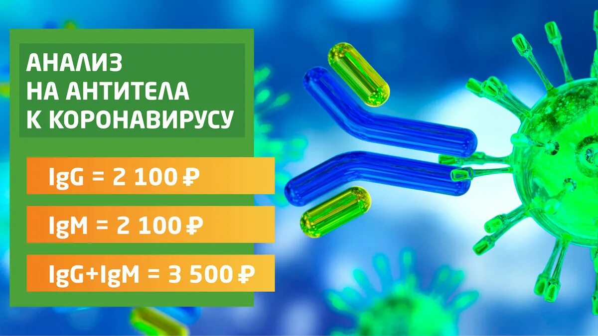 Количество антител коронавируса. Антитела к коронавирусу. Анти телак короновирус у. Антитела и вирус. Иммуноглобулин а к коронавирусу.