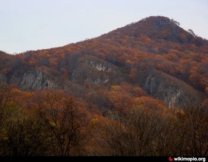 Многоудобное приморский край. Село Многоудобное Приморский край. Многоудобное Шкотовский. Поселок Многоудобное Приморский. Приморский край с Многоудобное Шкотовский р-н.